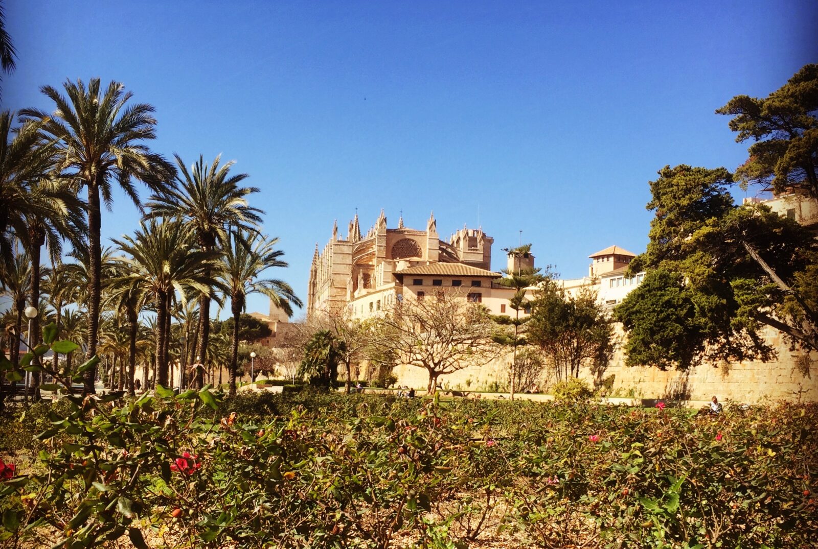 Die Kathedrale von Palma de Mallorca