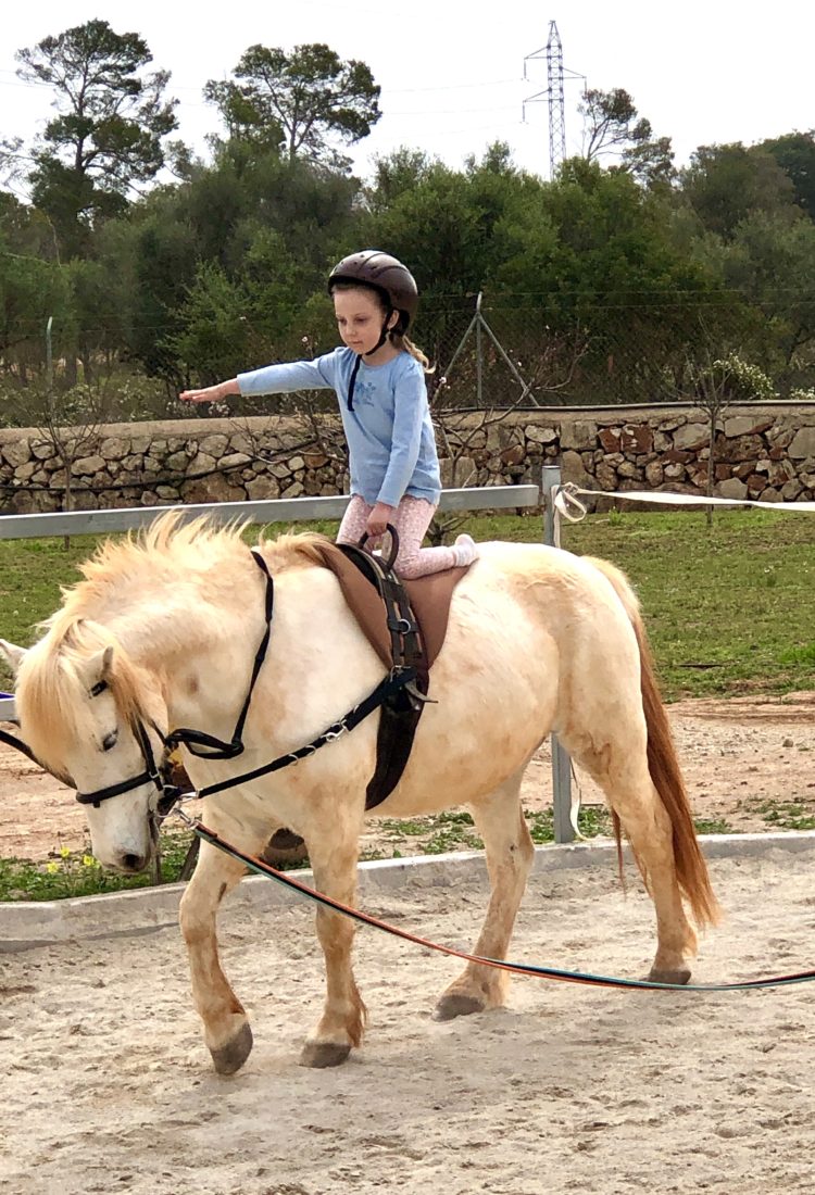 Voltigieren auf Mallorca als Einstieg ins Reiten