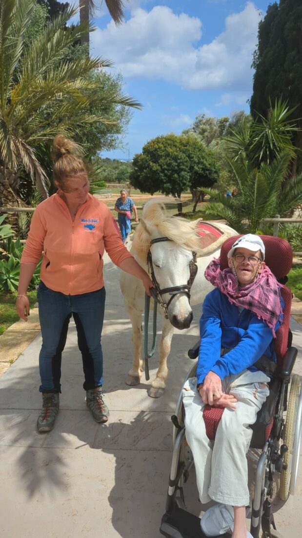 Kontaktaufnahme zwischen Therapiepony Balu und einem Gast im Rollstuhl