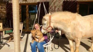 Pony und Hund