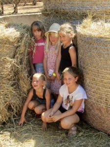 Reitcamp - Gruppe mit Kindern - Reiten Angebote
