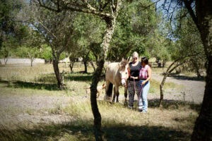 Coaching mit Pferd auf Mallorca