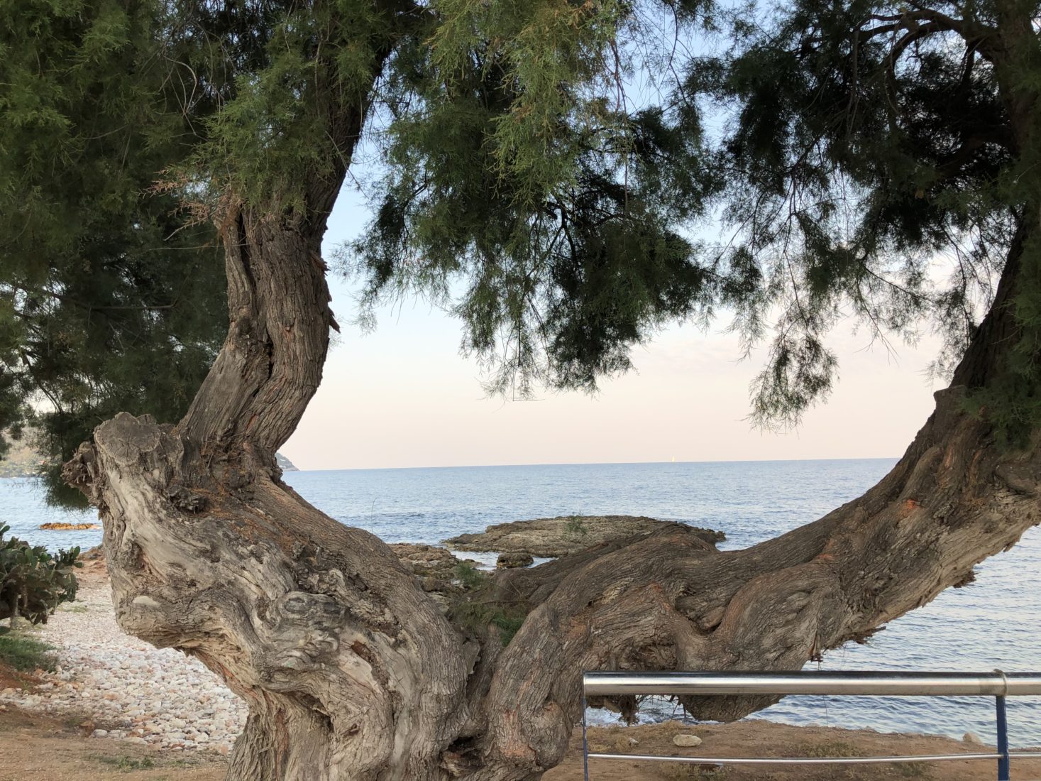 Atmosphäre in Cala Bona