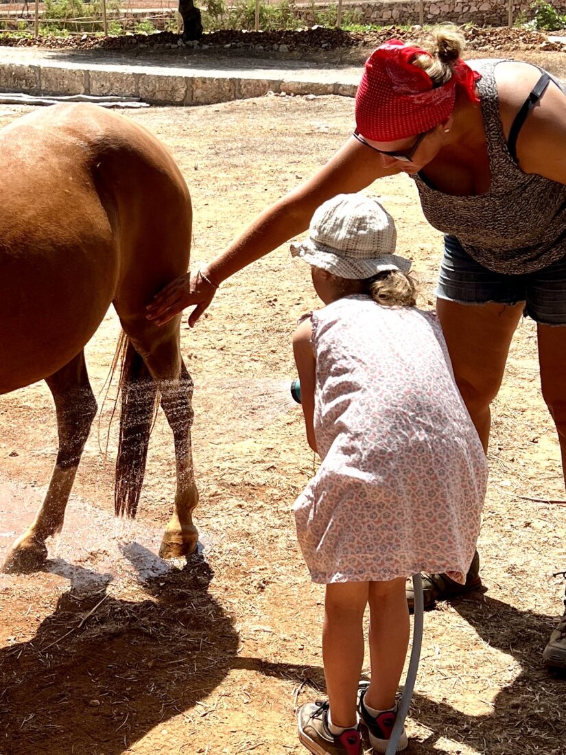 Im Reitercamp für Kinder lernt ein Mädchen das Pony richtig abzuduschen