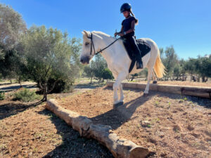 Reiten im Trail Parcours auf Mallorca 