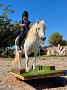 Wippe im Trailparcours