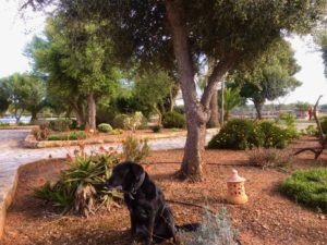 Begrüßung Finca Mallorca für 22 Personen Can Agustin