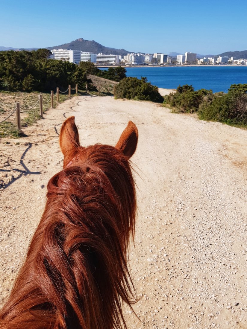 Reitausflug in Cala Millor