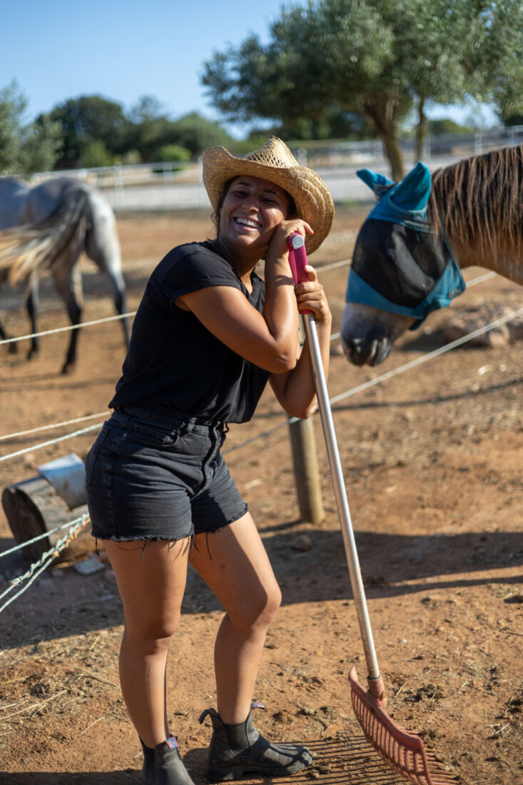 Abäppeln ist Teil der Arbeit mit Pferden
