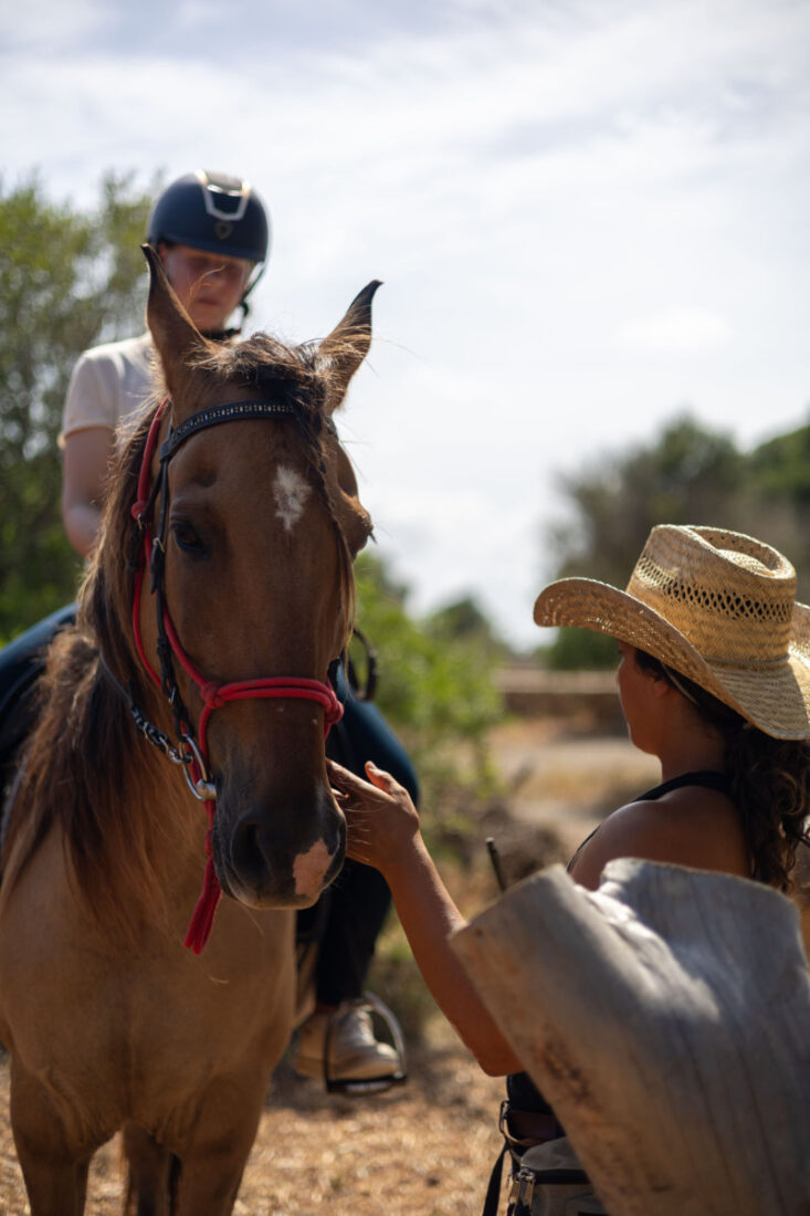 Individueller ganzheitlicher Reitunterricht auf Mallorca