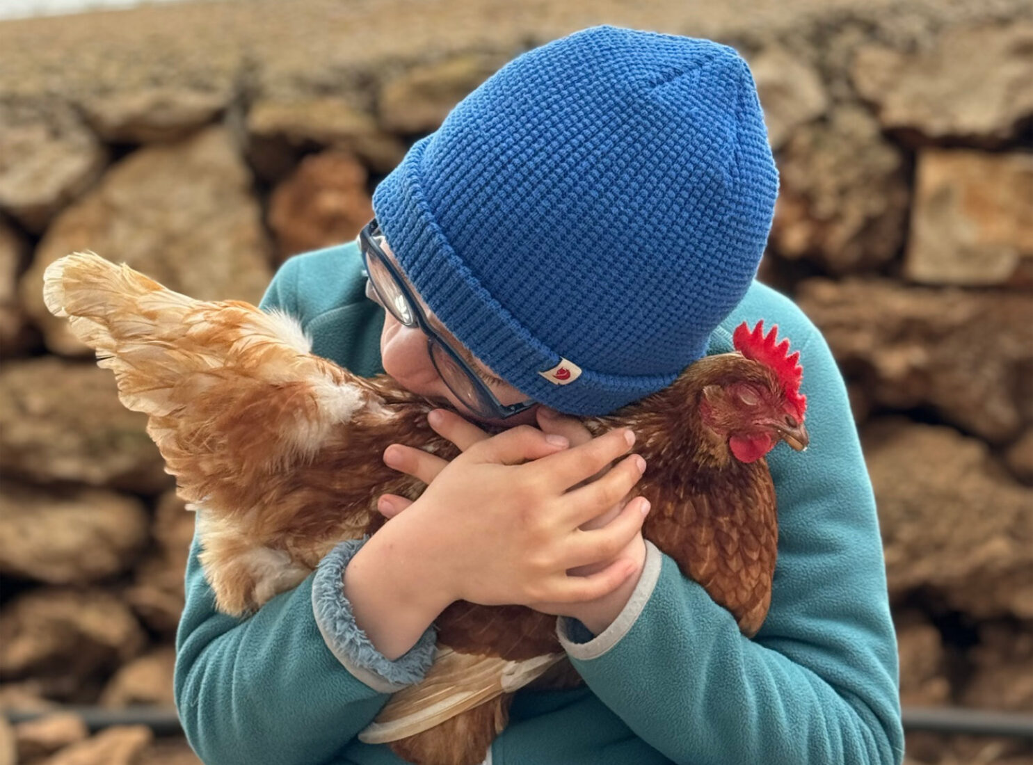 Mit Hühnern kuscheln auf dem Bauernhof in Mallorca
