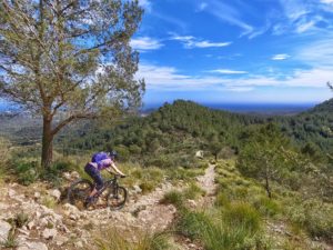 Mit dem Mountainbike durch das Gebirge