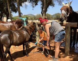 Ein Junge lernt im Kidscamp wie man ein Pony richtig pflegt