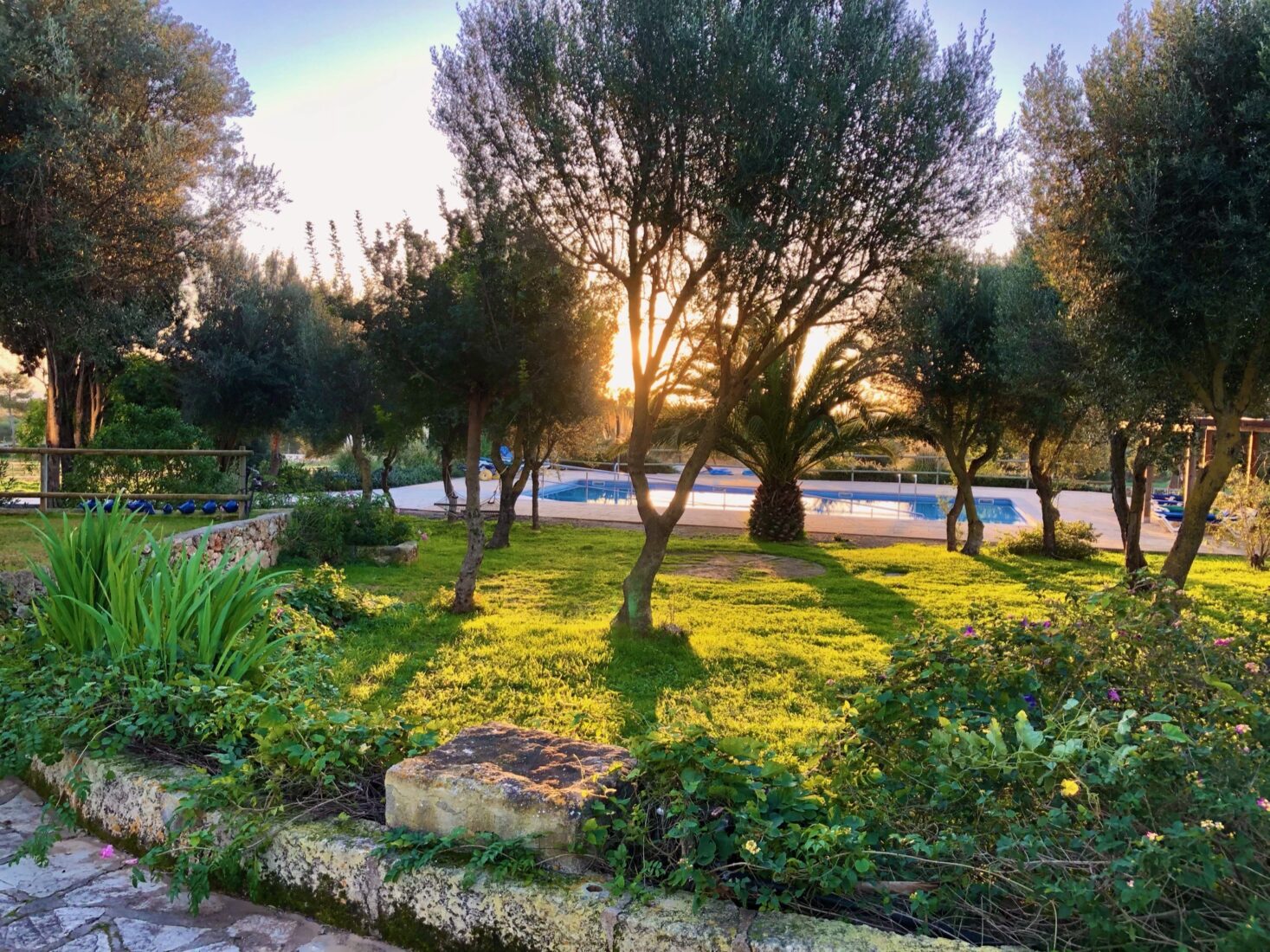 Gartenanlage von Haus 1 in der Morgensonne