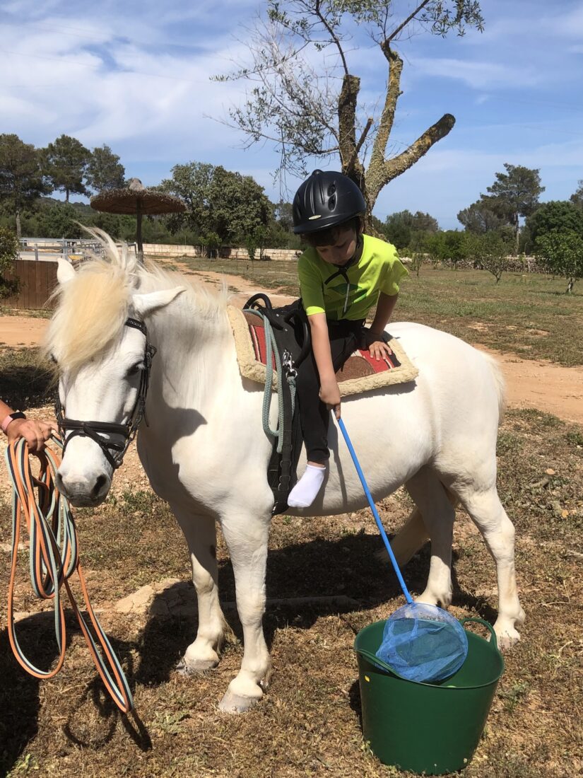 Reittherapie im Geschicklichkeitsparcours für Kinder mit ADHS und Autismus