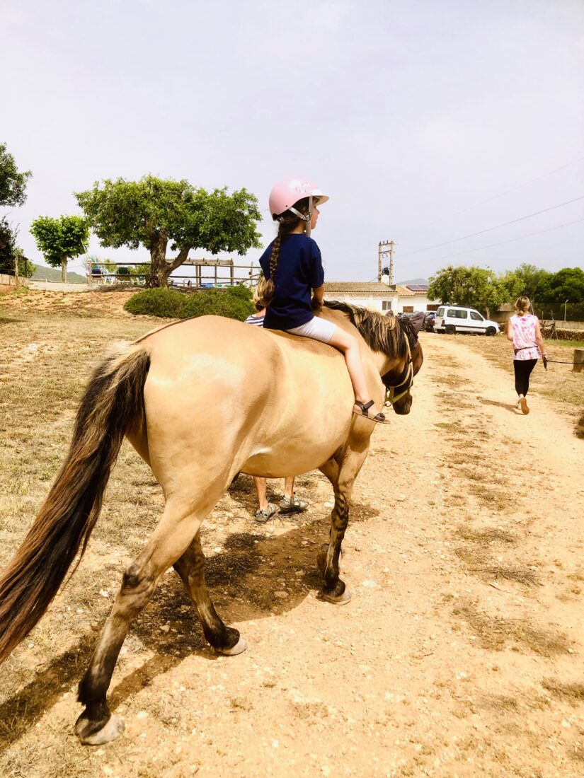 Geführter Ausritt nach der Reittherapie