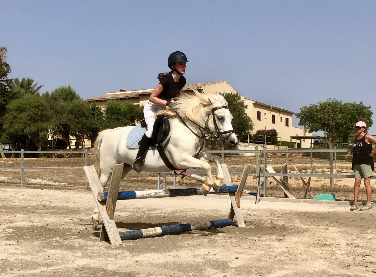 Unser Pony Balu springt gern über Hindernisse.