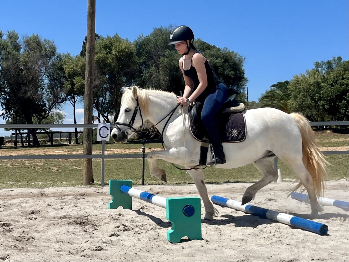 Gymnastizierung des Ponys vor dem Springunterricht