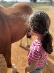 Coaching am und mit dem Pony