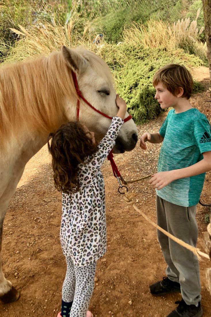 Umarmung für Pony Balu