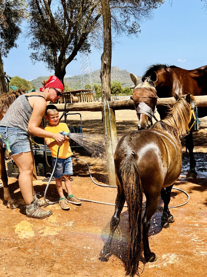 Ponys duschen im Reitercamp für Kinder auf Mallorca