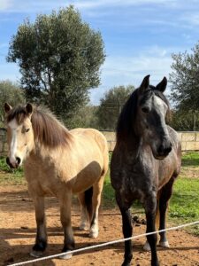 Hugo und Prusselise