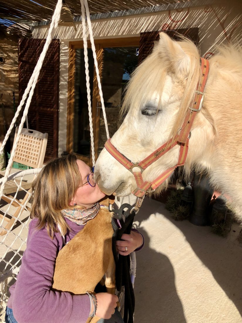 Küsse für unser weißes Pony Balu von Ehrenamtlerin Steffi