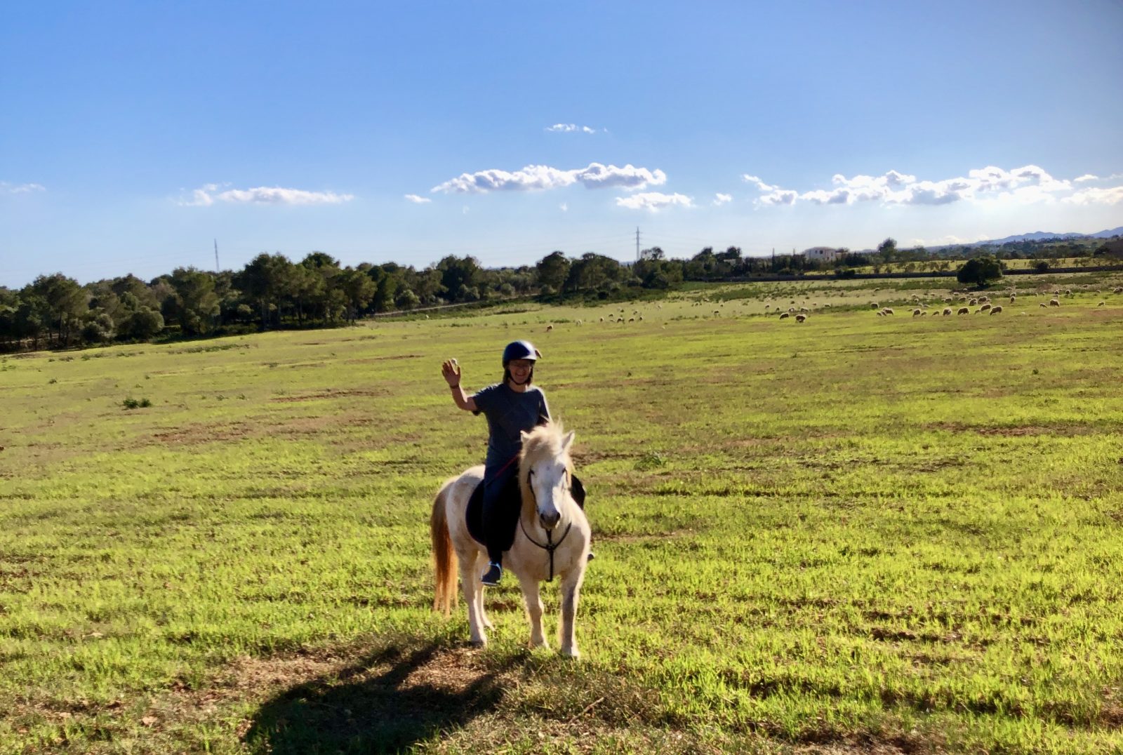 Steffi auf Pony Balu beim Ausritt über grüne Felder