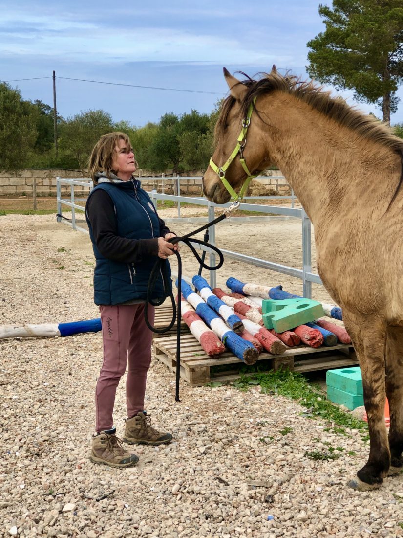 Coaching mit Pferd als Grundlage für gute Kommunikation