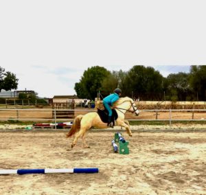 Springtraining mit Pferd - Reiten Angebote