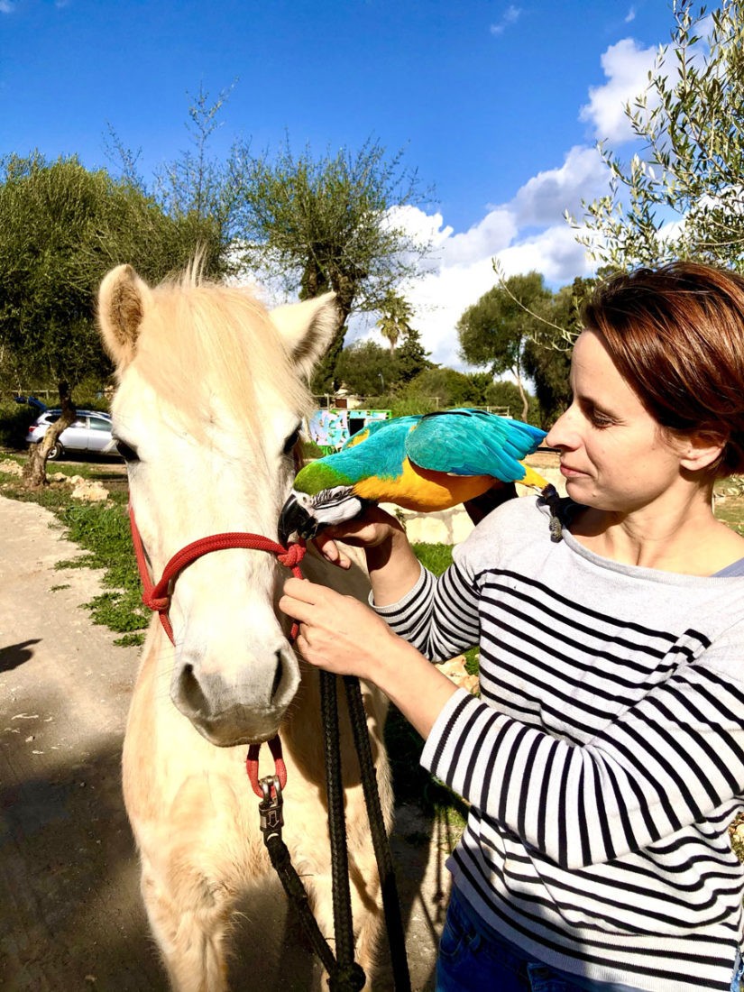 Reitlehrerin Lena mit Balu und Papagei