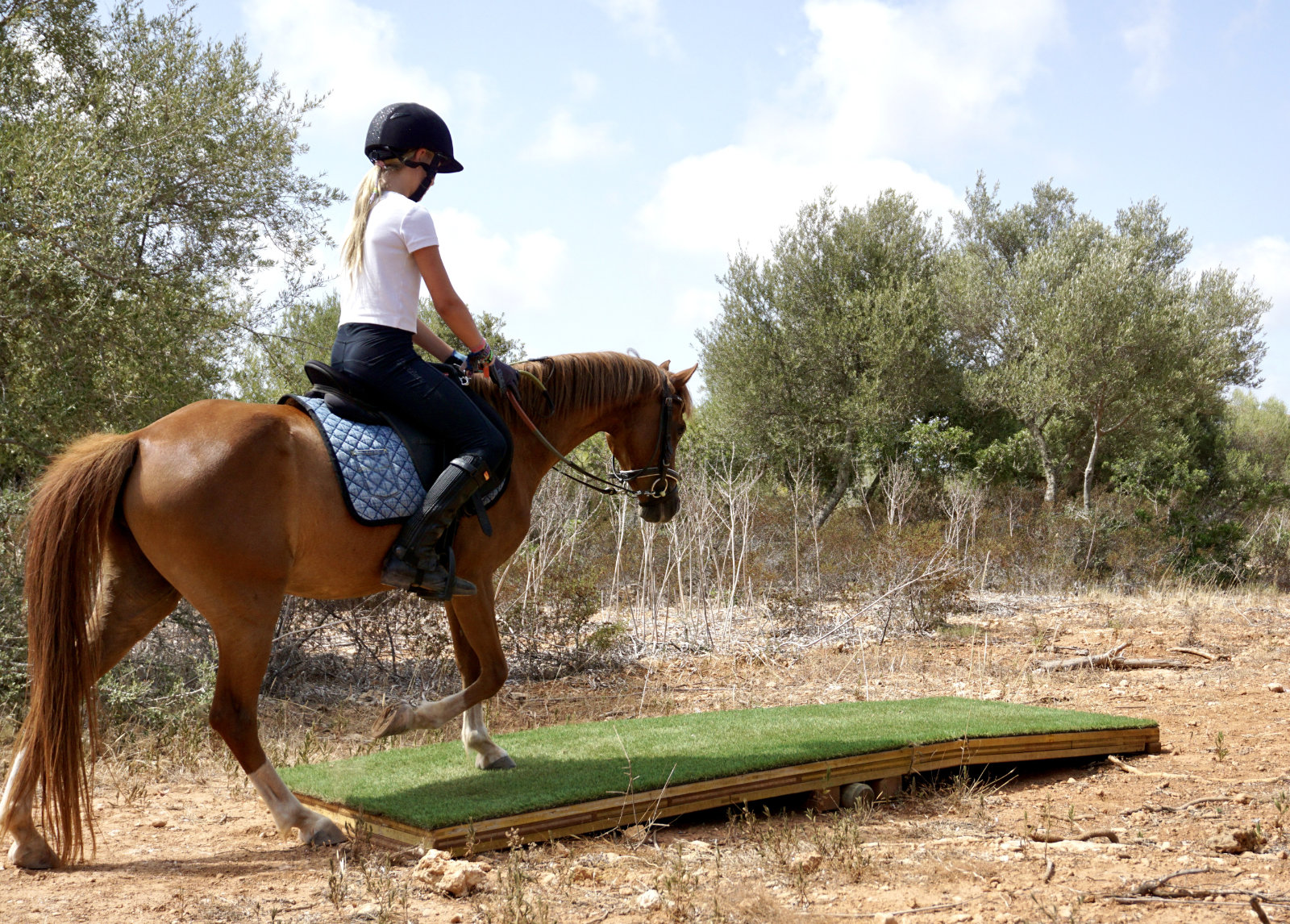 Ganzheitlicher Reitunterricht Mallorca