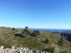 Naturschutzgebiet Llevant bei Arta Mallorca