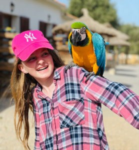 Papagei-Erlebnis-auf-Mallorca