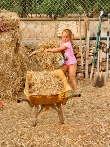 Pferdepflege-Kinder-Mallorca-