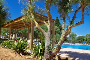 Poollandschaft Finca Mallorca für 22 Personen Can Agustin