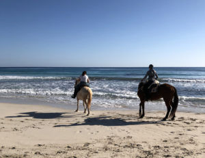 Reiten auf Mallorca am Strand