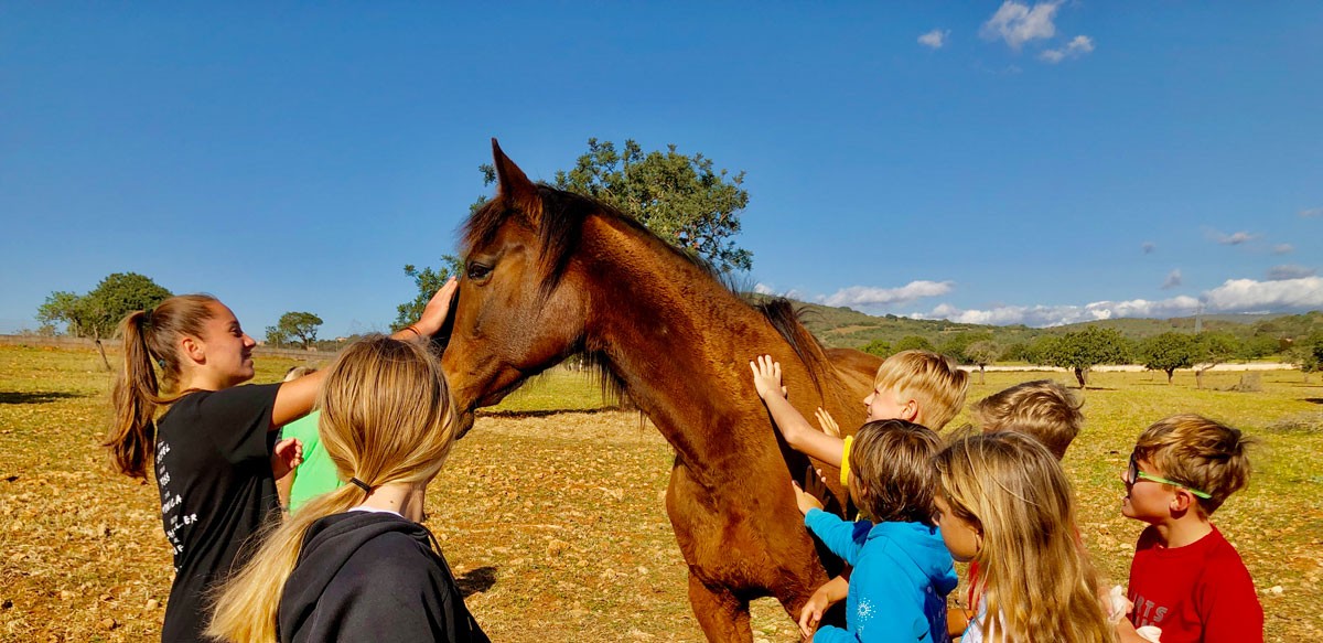 Reitferien für Kinder und Erwachsene 