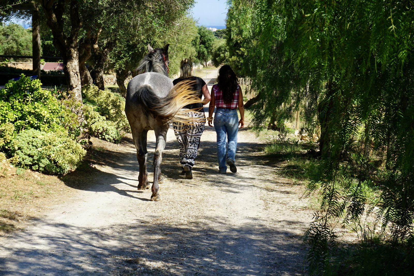 Pferdegestütztes Retreat auf Mallorca
