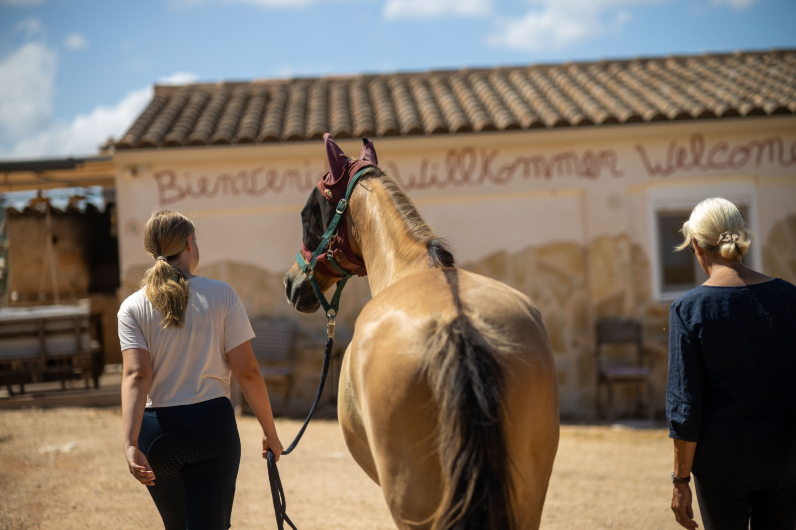 Praktikum mit Pferden auf Mallorca