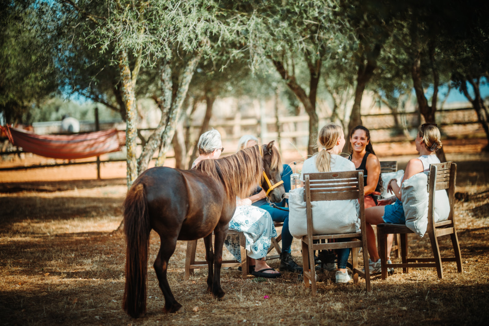 Gemeinschaft und Natur im Coliving