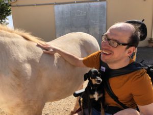 Tiere und therapeutische Angebote für Behinderte Reisende auf Mallorca