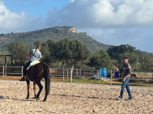 Feines Reiten im Kurs mit Zsolt Varga