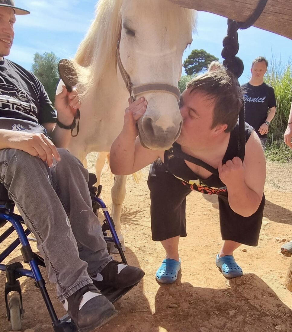 Alle Gäste lieben es unser Pony Balu zu küssen und zu kuscheln