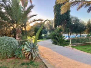barrierefreier Weg zum Pool Finca Mallorca für 22 Personen Can Agustin