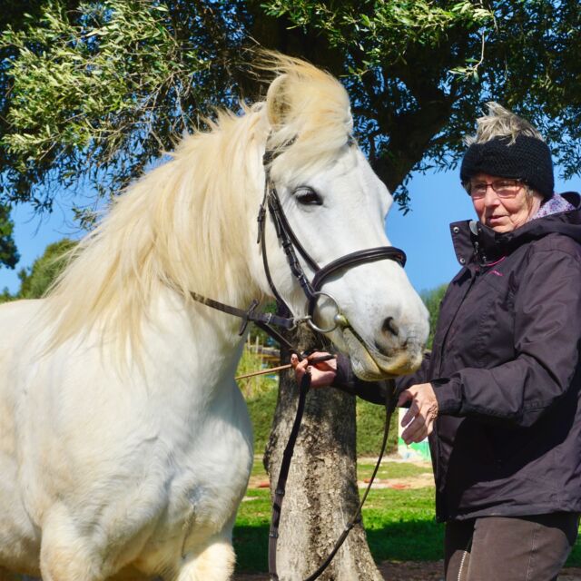 ✨ Sanft & Sicher – Verbunden mit Pferden ✨

Du möchtest (wieder) ins Reiten einsteigen – aber ohne Druck, ohne Stress, dafür mit ganz viel Achtsamkeit und Freude? 🐎💛

In unserer wöchentlichen Erwachsenengruppe auf Can Agustin geht es nicht nur ums Reiten, sondern um echte Verbindung:
🐴 Pferdepflege & Bodenarbeit als Basis
🌿 Vertrauen & Körpergefühl stärken
🧘‍♀️ Achtsames Reiten ohne Leistungsdruck
💚 Wertfreie, entspannte Atmosphäre

📅 Wann? Jeden Dienstag, 16–18 Uhr

👉🏼 Mehr Infos findest du auf unserer Website unter “Reitunterricht” → “Reiten Angebote”.

Melde dich jetzt an oder schreib uns, wenn du noch Fragen hast!
‌

#ReitenMitHerz #AchtsamesReiten #PferdeVerstehen #reitenmallorca #CanAgustin #MallorcaHorses #mallorcagram #mallorcaresidents #ReitAnfänger #wiedereinsteigerreiten #Pferdeverstehen #FeineKommunikation #Horsemanship #Bodenarbeit #pferdewohl #propferd #freiarbeitmitpferden #mallorcapferde #mallorcahorses #horseridingmallorca #mallorcahipica #caballosmallorca