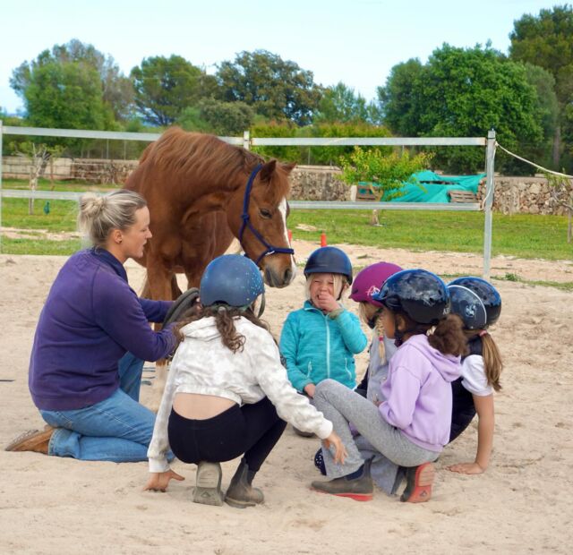 🐴✨ Lust auf Ponys, Pferde & jede Menge Spaß? ✨🐴

Dein Kind träumt vom eigenen Pony, kennt jeden Pferdefilm und kann von Bibi & Tina nicht genug bekommen? Dann haben wir genau das Richtige!

Wir bieten auf Can Agustin regelmäßig feste Reit- und Voltigiergruppen für Kids von 5 bis 13 Jahren an. Egal ob Anfänger oder bereits sattelfest – hier findet jeder seinen Platz!

‌

Unsere Gruppen:

⭐️ Montags, 16–18 Uhr: „Die Shettybande“ (5–8 Jahre)

⭐️ Mittwochs, 16–18 Uhr: „Die wilden Mustangs“ (9–13 Jahre)

⭐️ Freitags, 16–18 Uhr: „Pony-Club“ (ab 10 Jahre, mit Vorkenntnissen)

‌

Bei uns geht’s nicht nur ums Reiten – es geht ums Spaß haben, ums Mitmachen, Lernen und ums gemeinsame Wachsen! 🐎❤️ 

‌
👉🏼 Mehr Infos findest du auf unserer Website unter “Reitunterricht” → “Reiten Angebote”.

Übrigens: Wir haben auch tolle Gruppen für Erwachsene! 😉

💚 Melde dich jetzt an oder schreib uns, wenn du noch Fragen hast!

 
#CanAgustin #ponyreiten #kinderreiten #freiarbeit #reiten #pferdemädchen #reitenlernen #deutscheaufmallorca