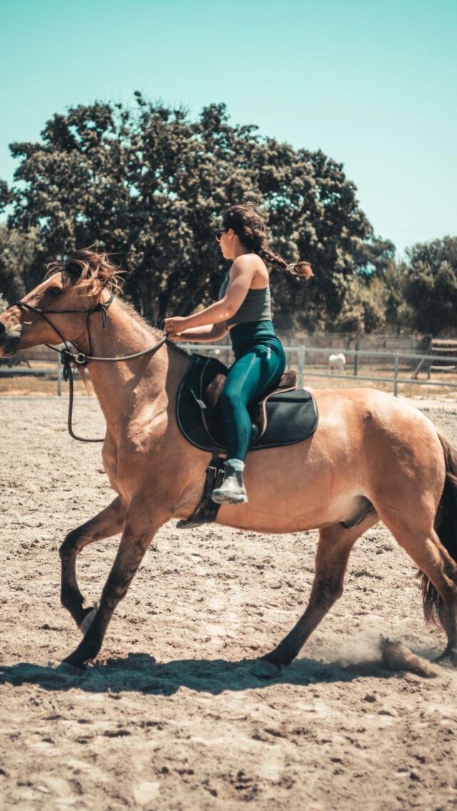 🐎 Sanft & Sicher – Verbunden mit Pferden 🐎

Reiten ohne Trense, ohne Zügel – nur du, dein Pferd und ein feiner Impuls am Halsring.
Bei Can Agustín auf Mallorca begleiten wir dich behutsam auf dem Weg zu dieser besonderen Verbindung.
In unserem Unterrichtskonzept „Sanft & Sicher“ lernst du, wie aus feinen Signalen ein harmonisches Miteinander entsteht – ein Spiel zwischen Führen und Folgen, zwischen Klarheit und Loslassen.
🌾 Fühlen statt kontrollieren
🌾 Kommunizieren auf Augenhöhe
🌾 Eintauchen in eine harmonische Partnerschaft

Ob du erste Schritte mit dem Halsring wagen möchtest oder bereits Erfahrung hast – wir begleiten dich mit viel Gefühl, Wissen und Liebe zum Detail.

Can Agustín – wo Vertrauen wächst, Freiheit gelebt wird und Mensch und Pferd gemeinsam neue Wege gehen.

#halsringreiten #ig_mallorca #reitenmitgefühl #reiten #naturalhorsemanship #pferdemädchen #canagustin
