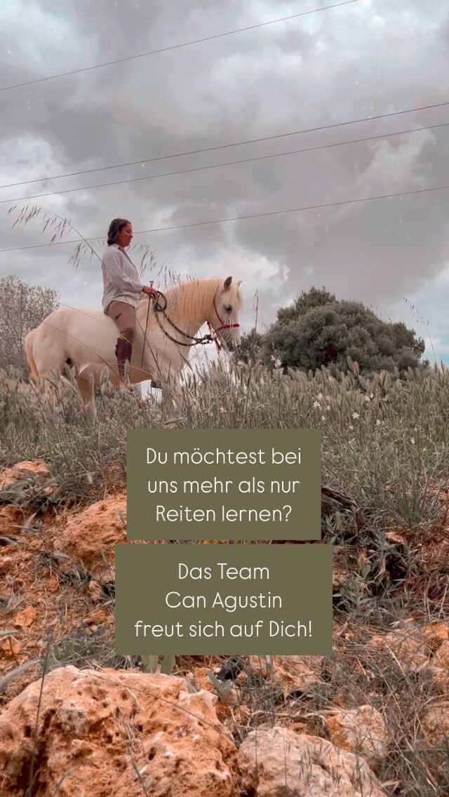 Du wünschst dir Reiten, das sich leicht anfühlt? Klar in der Sprache, fein in der Hilfe, fair im Miteinander?

Dann erlebe mit uns, wie Verbindung entsteht - echt, leise und voller Vertrauen.

Unsere Pferde zeigen dir, was möglich ist, wenn echte Kommunikation wichtiger wird als Kontrolle.
Wenn Reiten nicht nur Technik ist, sondern eine gemeinsame Sprache. 

Vielfältig. Klar. Fein. Und fair.
Für alle, die mehr suchen als nur „oben sitzen“. 

Für dich. Für dein Herz. Für dein Pferd.

#ig_mallorca #mallorcahorses #canagustin #reitenmitgefühl #reiteninbalance #liberty #bodenarbeit #reitenohnesattel #pferdemädchen #caballos🐴