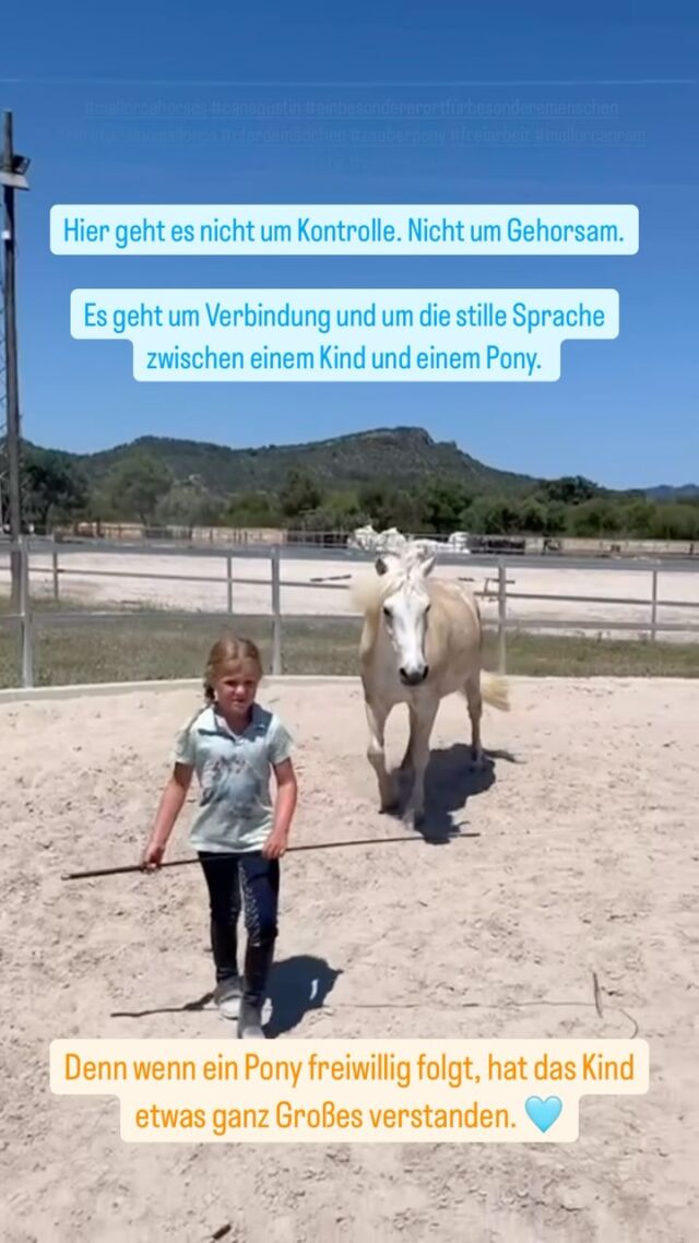 Verbindung statt Kontrolle. Vertrauen statt Zwang.

Freiarbeit ist kein Privileg für Erwachsene oder Profis. Auch - oder vielleicht sogar insbesondere Kinder können sie lernen – spielerisch, achtsam, mit Gefühl.

Denn es geht nicht allein um Technik. Es geht ums Zuhören, Spüren, Begegnen und gegenseitigen Respekt.

Wenn ein Pony einem Kind freiwillig folgt, ohne Strick, ohne Halfter – dann entsteht etwas Besonderes:

💛 Selbstwirksamkeit.
💛 Vertrauen ins eigene Gespür.
💛 Ein feines Gefühl für Körpersprache – beim Pony und bei sich selbst.

Kinder lernen, klar zu führen ohne Druck, Grenzen zu respektieren – und wie es sich anfühlt, gesehen und verstanden zu werden.

Pferde reagieren auf Echtheit.
Und Kinder bringen oft genau das mit: Präsenz, Neugier, Herz.

✨ Freiarbeit ist Kommunikation auf Augenhöhe.
Und ja – auch kleine Menschen können sie meistern.
Vielleicht sogar besser als viele Große. 😉

Hast du Lust das zu lernen? Dann komm zu uns nach Can Agustin und lerne uns und unsere Arbeit kennen.

‌#mallorcahorses #canagustin #einbesondererortfürbesonderemenschen #agroturismomallorca #pferdemädchen #zauberpony #freiarbeit #mallorcagram #ponyliebe #vertrauen #selbstwirksamkeit